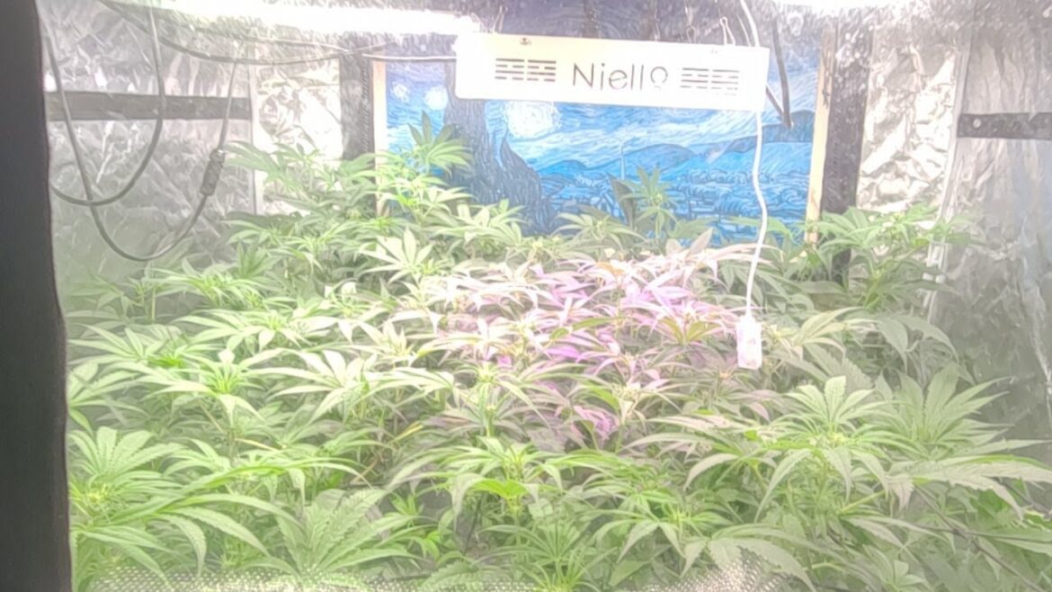 This Is What The AirCube Can Do For You