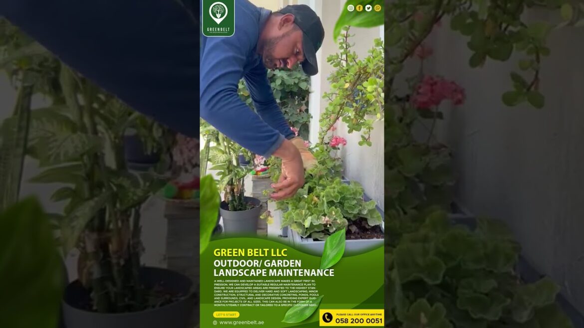 ๐๐ฎ๐ญ๐๐จ๐จ๐ซ/ ๐๐๐ซ๐๐๐ง/ ๐๐๐ง๐๐ฌ๐๐๐ฉ๐ ๐๐๐ข๐ง๐ญ๐๐ง๐๐ง๐๐ ๐ฟ ๐๐ฎ๐ญ๐๐จ๐จ๐ซ/ ๐๐๐ซ๐๐๐ง/ ๐๐๐ง๐๐ฌ๐๐๐ฉ๐ ๐๐๐ข๐ง๐ญ๐๐ง๐๐ง๐๐ ๐ฟ