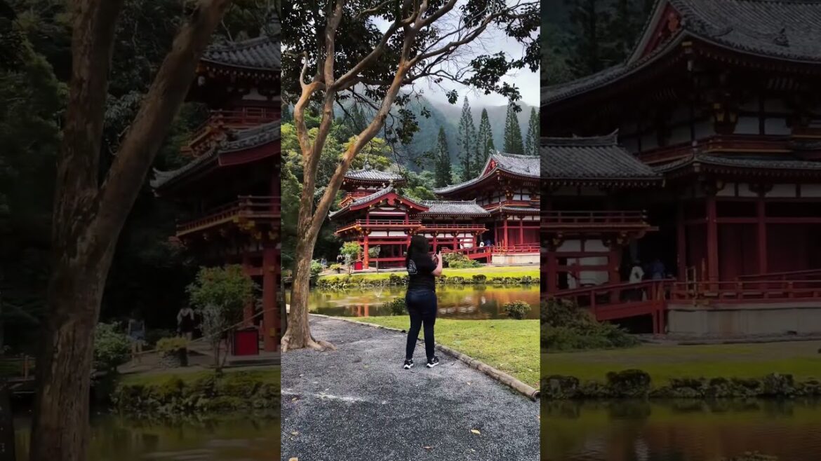 Oahu Hawaii - Japanese Garden #shorts #travel #landscape #nature