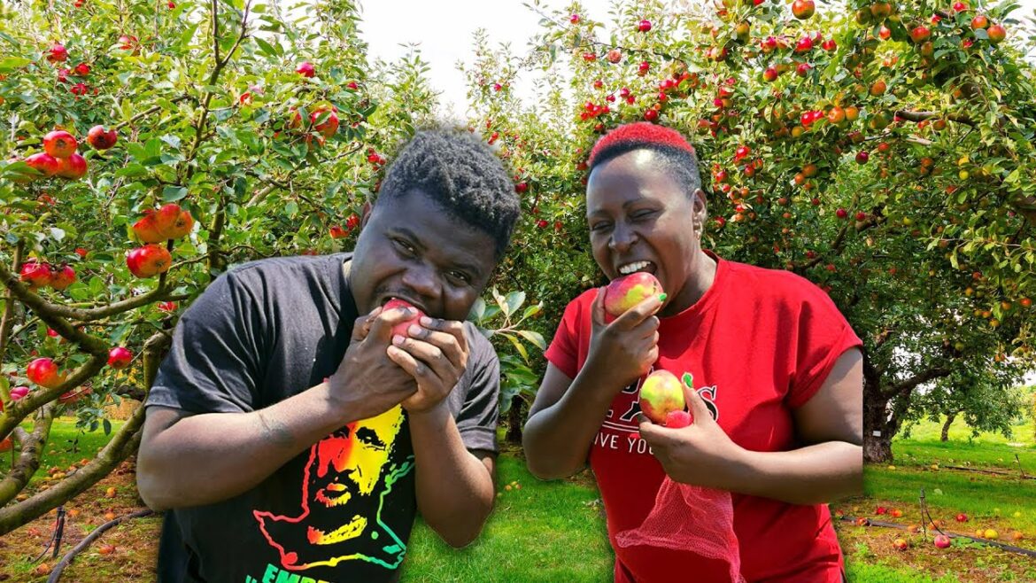 How This Kenyan Woman Became A Millionaire Growing Apples In Africa How This Kenyan Woman Became A Millionaire Growing Apples In Africa
