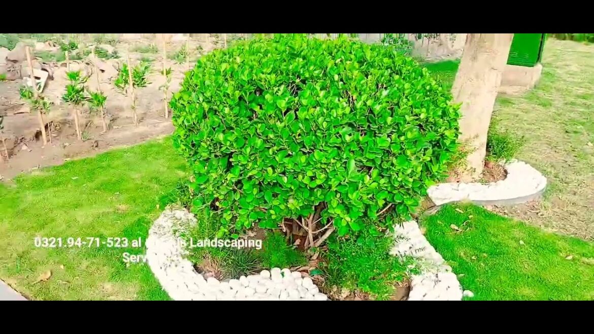 Most Beautiful Garden Landscaping|frontyard Garden design 0321.9471523 Al Quddus Landscaping servic