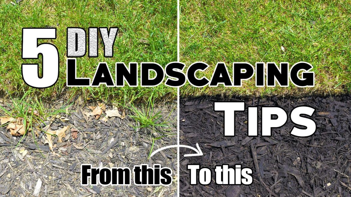 5 Cheap & Easy DIY Landscaping Tips & Ideas (Plus Bonus Tips!) 🌱