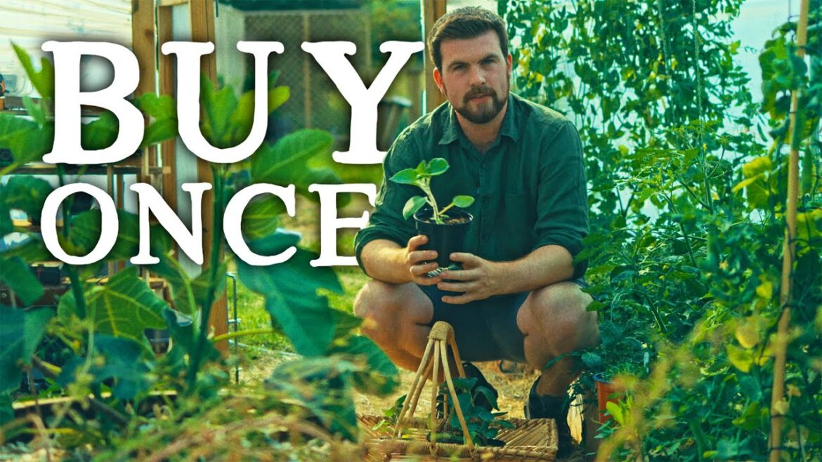 Huw Richards: Crops to Plant Once & NEVER Buy Again | Huw’s Garden Diaries Crops to Plant Once & NEVER Buy Again | Huw's Garden Diaries