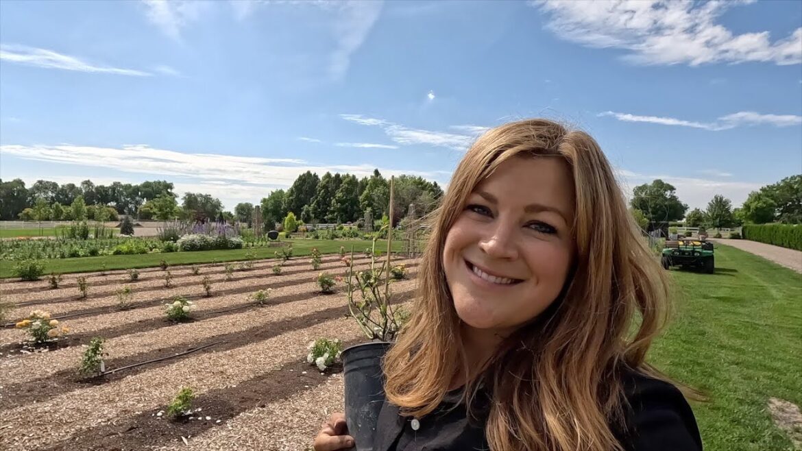 Garden Answer: Random Planting Day! 😆🌿👍 // Garden Answer Random Planting Day! 😆🌿👍 // Garden Answer