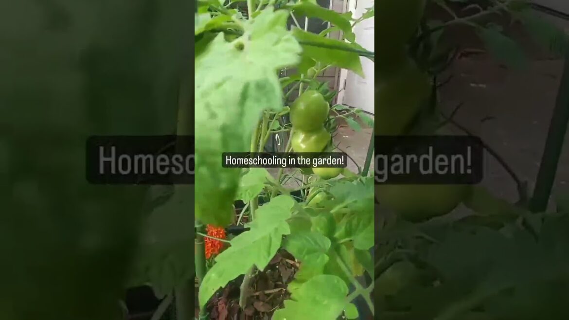 Small Space Gardening | Happy Juneteenth | Container Garden