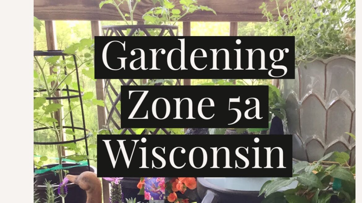 Gardening Zone 5a | Small Spaces | Wisconsin Gardening Zone 5a | Small Spaces | Wisconsin