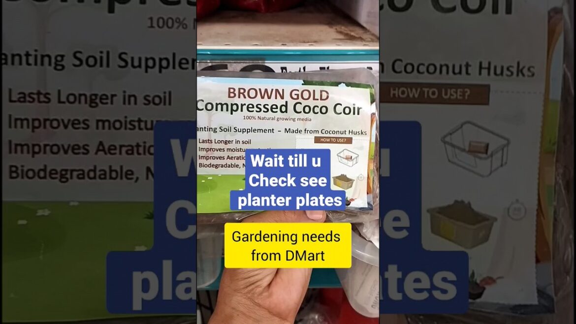Supplies For Home Garden At Dmart #shorts #dmart Supplies For Home Garden At Dmart #shorts #dmart
