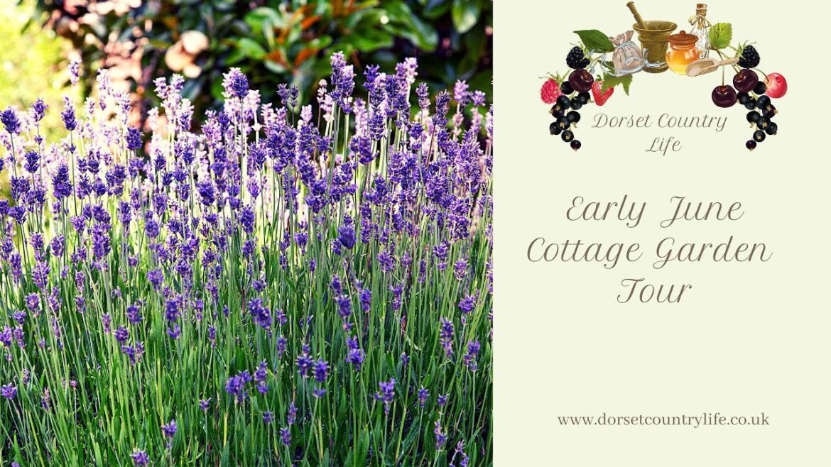 Early June Cottage Garden Tour Early June Cottage Garden Tour