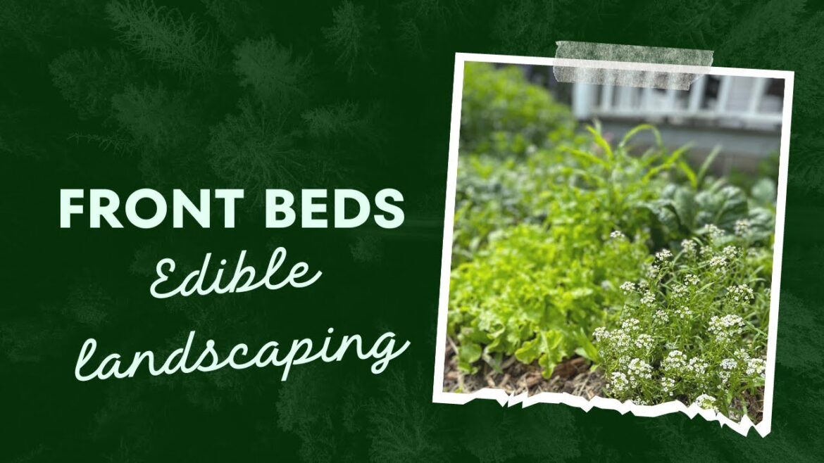 Edible Landscaping Front Porch