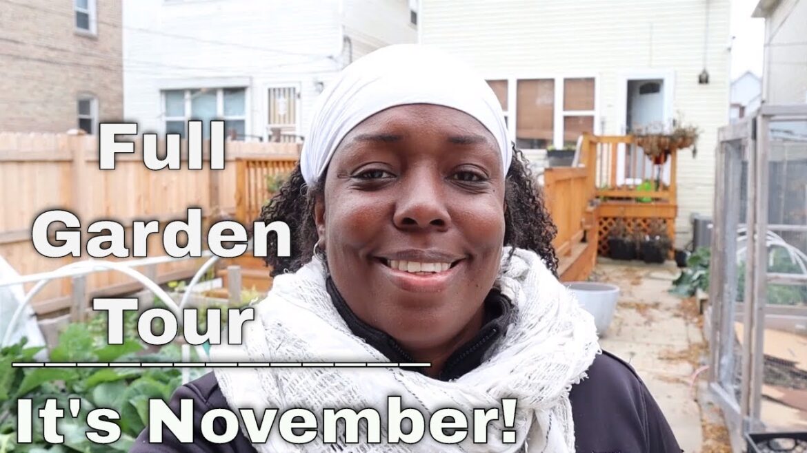 Full Garden Tour | Front Yard and Backyard in the First Week of November