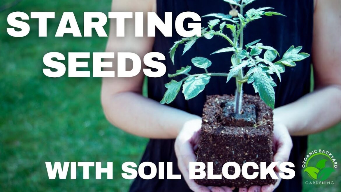 How to Use Soil Blocks for Seed Starting – Gardening Tips and Tricks How to Use Soil Blocks for Seed Starting - Gardening Tips and Tricks