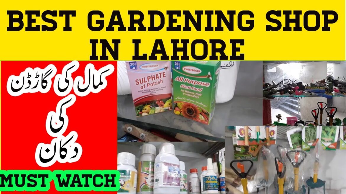 Lahore best gardening shop | Quality products in very low prices Lahore best gardening shop | Quality products in very low prices