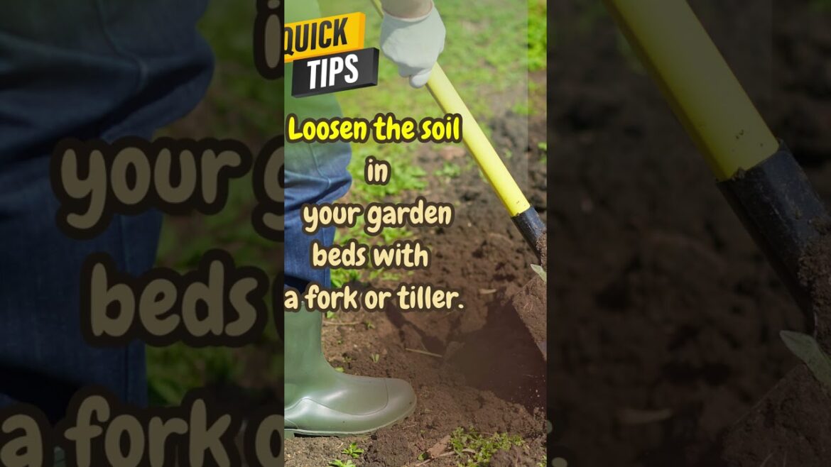 Green Thumbs 🌱Spring Gardening Tips 🌱 for All Levels # 48 Green Thumbs 🌱Spring Gardening Tips 🌱 for All Levels # 48