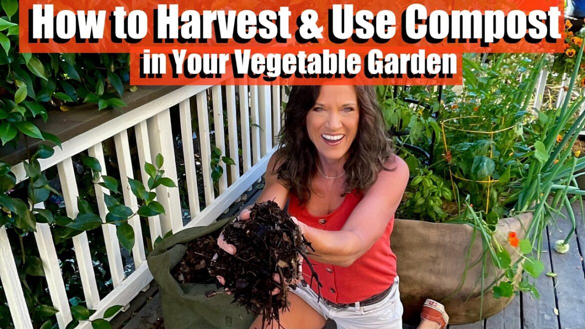 How to Harvest and Use Compost in Your Vegetable Garden