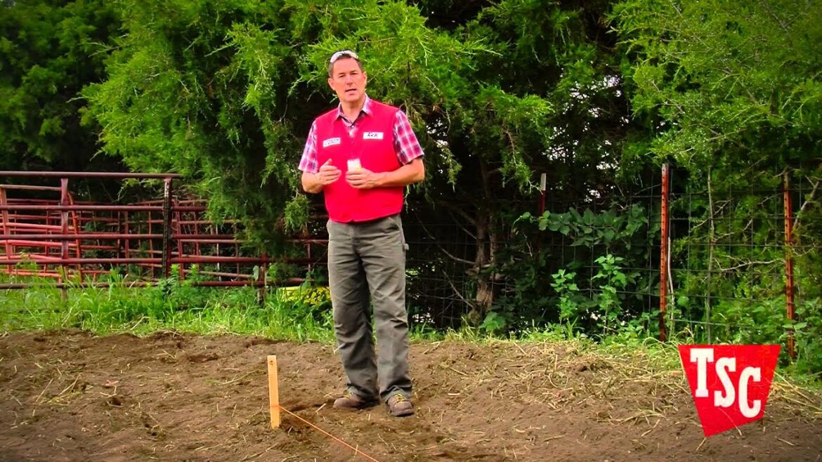 How to Plant Vegetable Garden Seeds | Tractor Supply Co.
