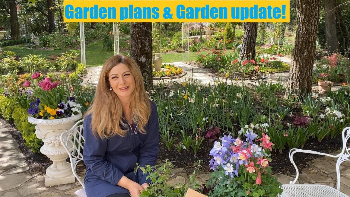My garden plans and a garden update!