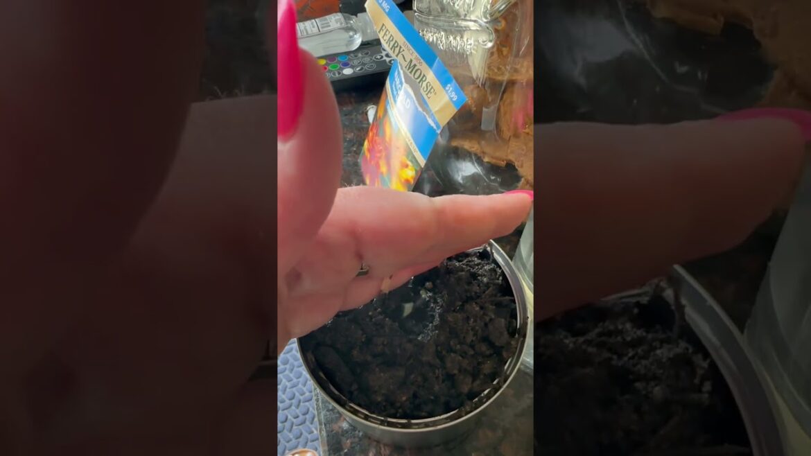 How to plant flowers using recycled material like tin cans and water bottles.