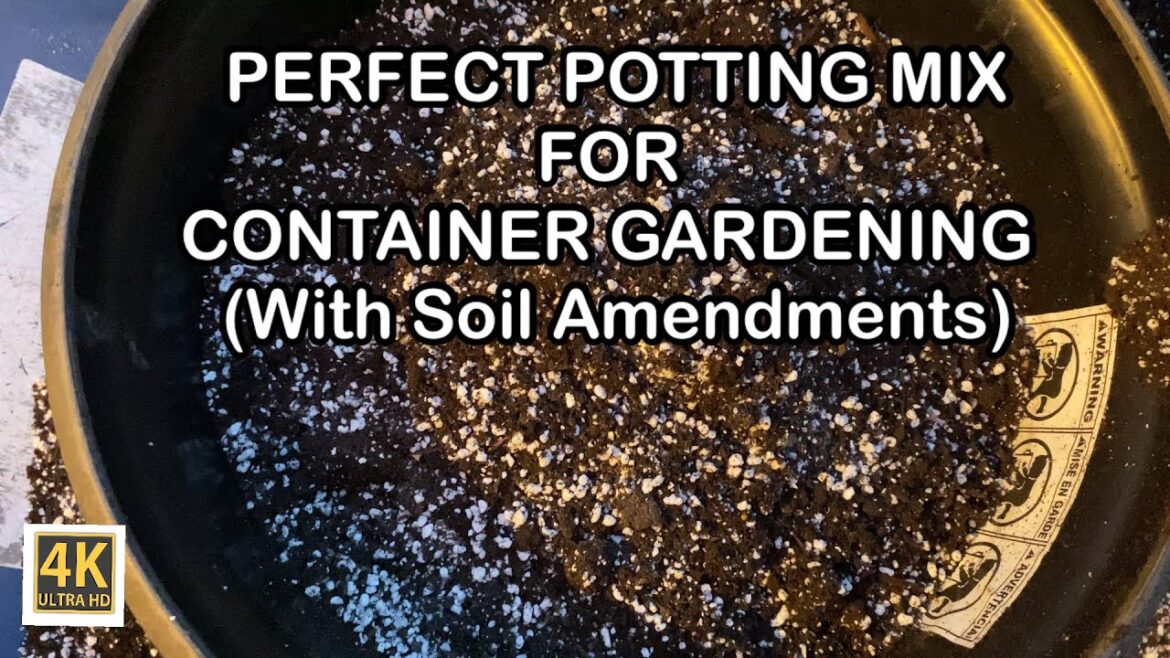 HOW TO MAKE POTTING MIX THAT WILL KEEP YOUR PLANTS THRIVING THE AZ WAY | CONTAINER GARDENING