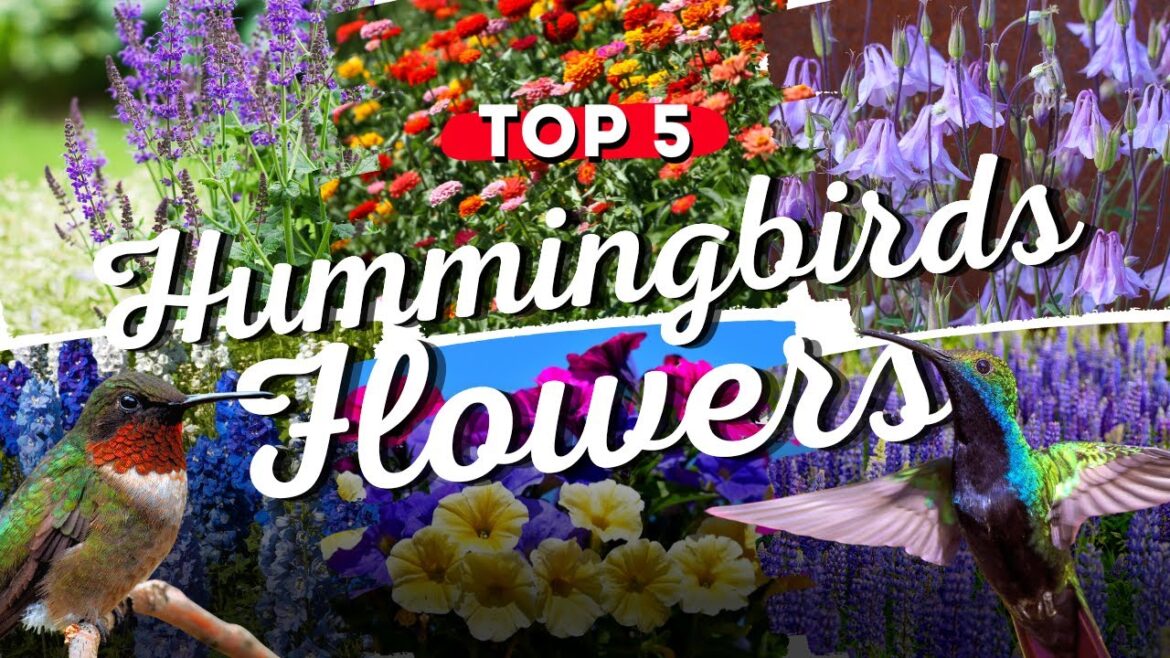 🌸🐦 Top 5 FLOWERS That Will TURN Your Garden Into A Hummingbird HAVEN! 🤯