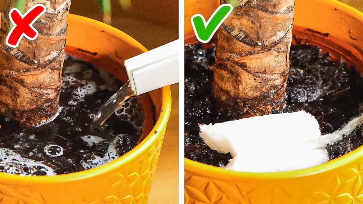 Plant Growing Tips For Your Inner Gardener Plant Growing Tips For Your Inner Gardener