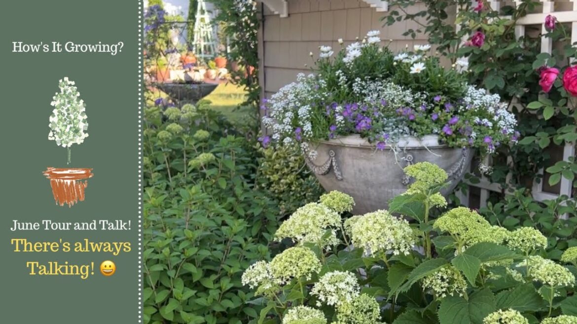 June Back Garden Tour and Talk June Back Garden Tour and Talk