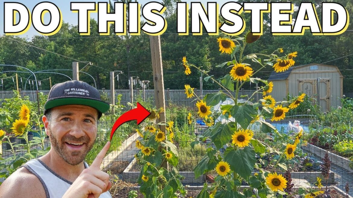 NEVER Plant Flowers This Way: Avoid A Garden Nightmare