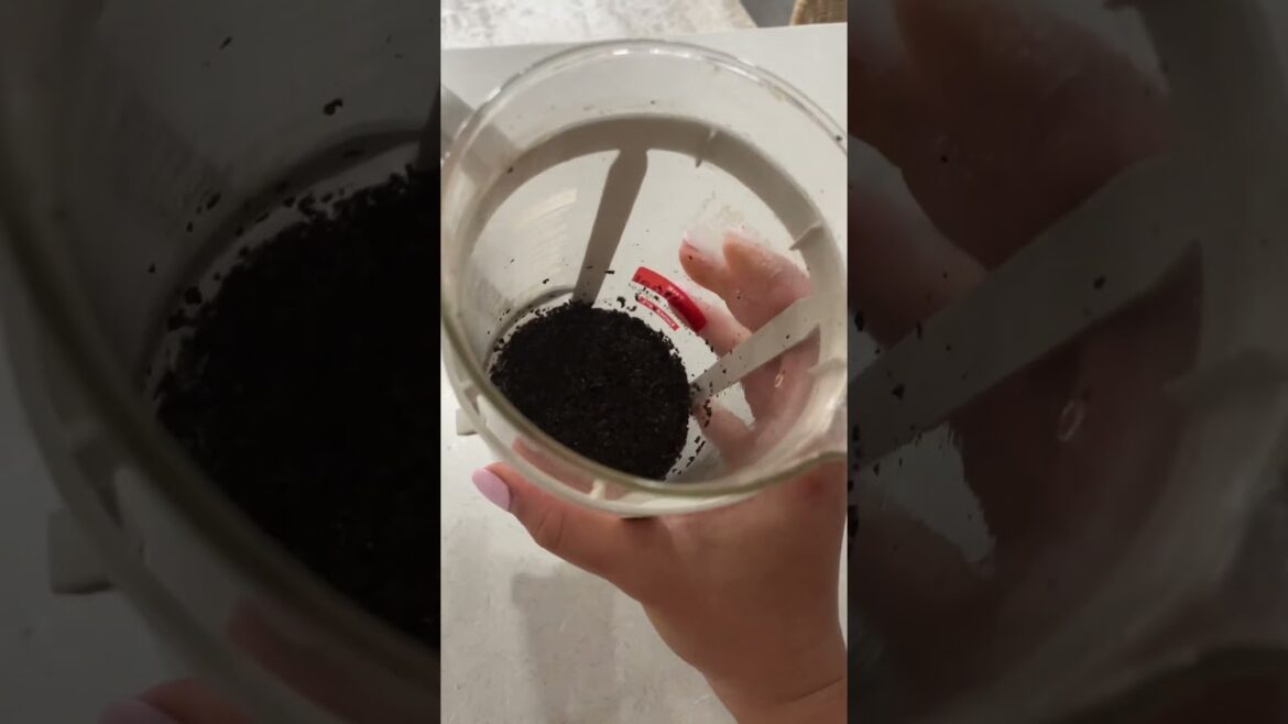 Coffee Hack #coffee #cafe #garden #tips #garden #food #diy #yt #ytshorts #gardening #fyp