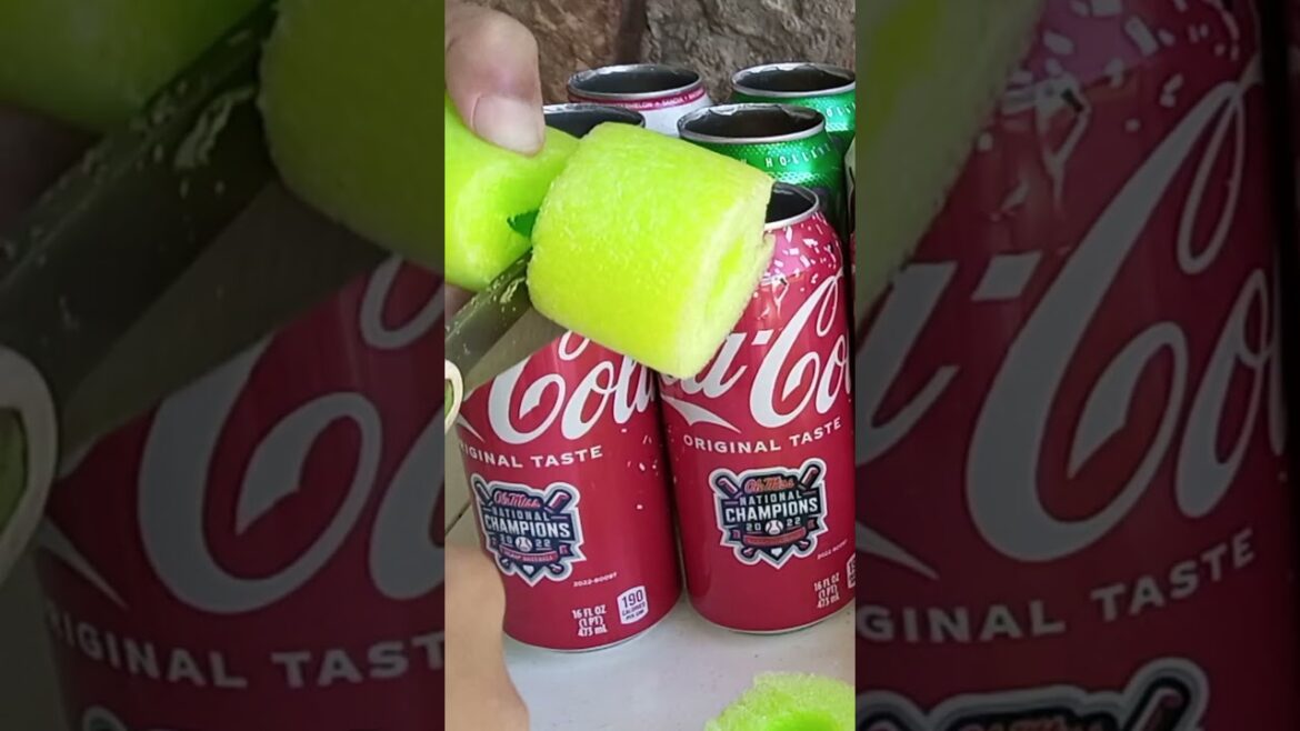 Gardening Made Easy! Repurpose Soda Cans Easy Hydroponics At Home