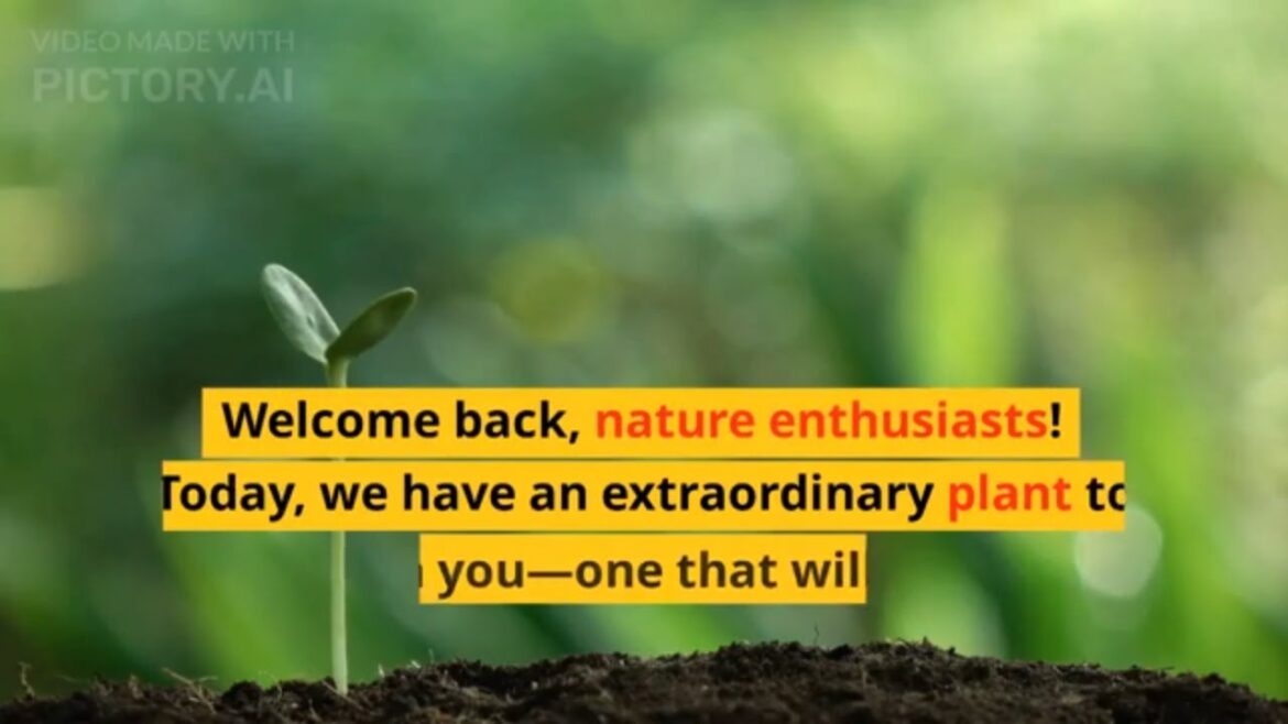 Dragon Breath Plant: The Hottest Trend in Gardening Revealed