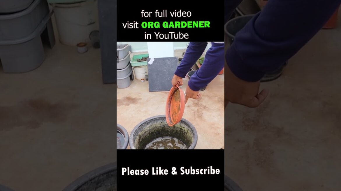 Compost Tips 2 #compost