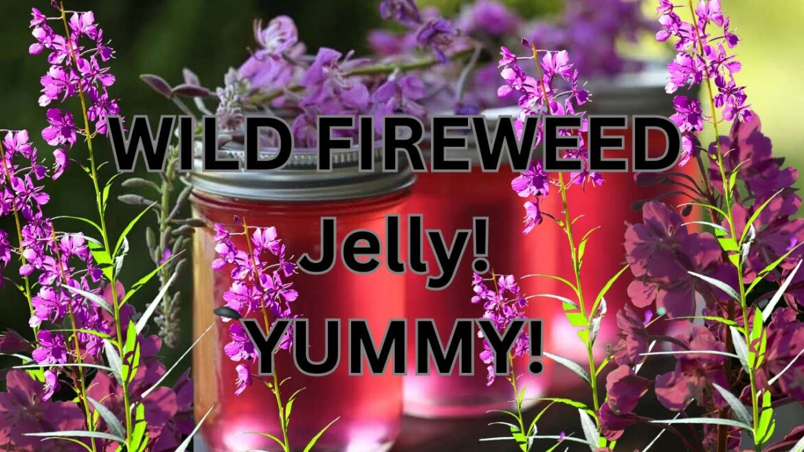 Friends Gardening. In Alaska. Garden Services Near Me. In Fairbanks. Wild Edible Plants and Flowers Friends Gardening. In Alaska. Garden Services Near Me. In Fairbanks. Wild Edible Plants and Flowers