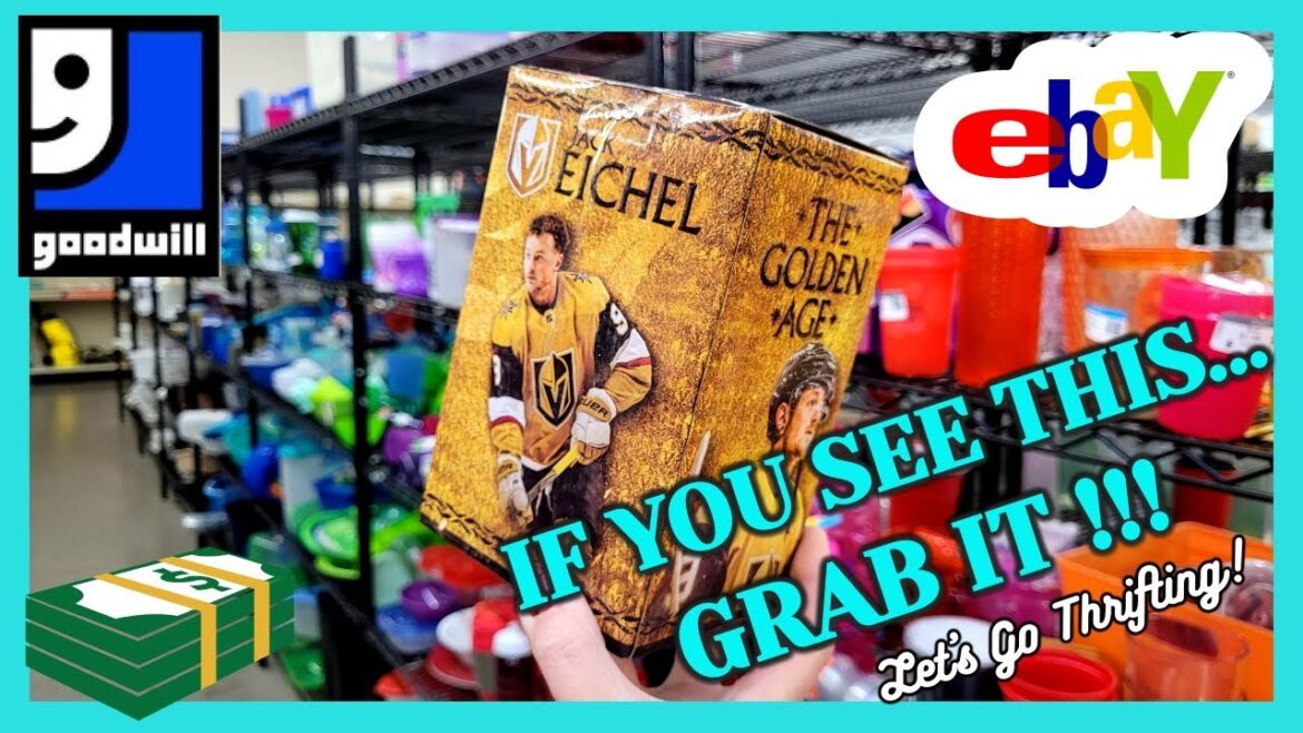 LAST THING YOU'D EXPECT TO FIND AT GOODWILL! / Thrift With Me / Buy My HAUL / Is UV GLASS DANGEROUS?