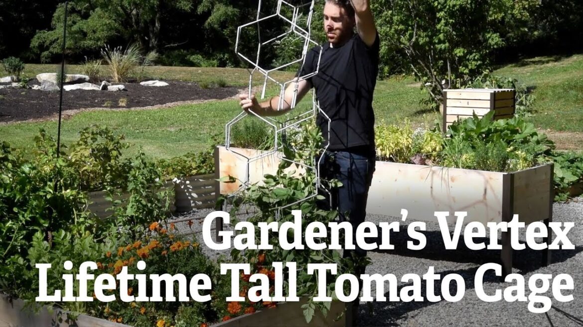 Gardener’s Vertex Lifetime Tall Tomato Cage Gardener’s Vertex Lifetime Tall Tomato Cage