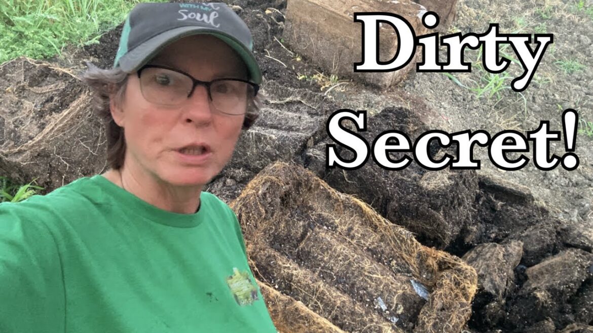 The DIRT-Y truth about container gardening. What you need to do. The DIRT-Y truth about container gardening. What you need to do.