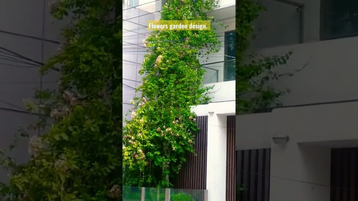 Front garden design. Designers idea. Flowers tree. #flowers #shorts #short #viral #video Front garden design. Designers idea. Flowers tree. #flowers #shorts #short #viral #video