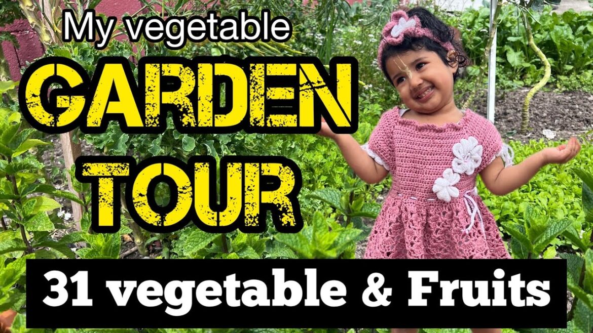 My Vegetable Garden Tour | Kitchen Gardening | Gardening in Ireland | @littlekuku My Vegetable Garden Tour | Kitchen Gardening | Gardening in Ireland | @littlekuku