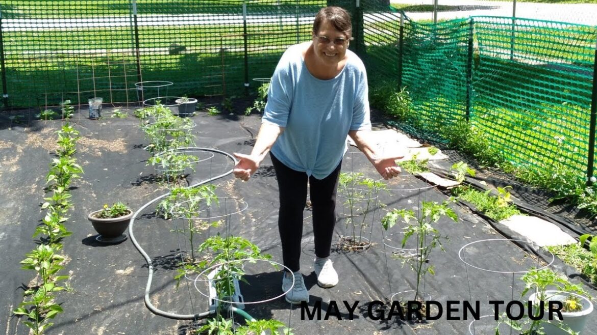 ZONE 7 –MAY GARDEN TOUR /CONTAINER GARDEN ππππ
π₯π₯ ZONE 7 --MAY GARDEN TOUR /CONTAINER GARDEN ππππ
π₯π₯