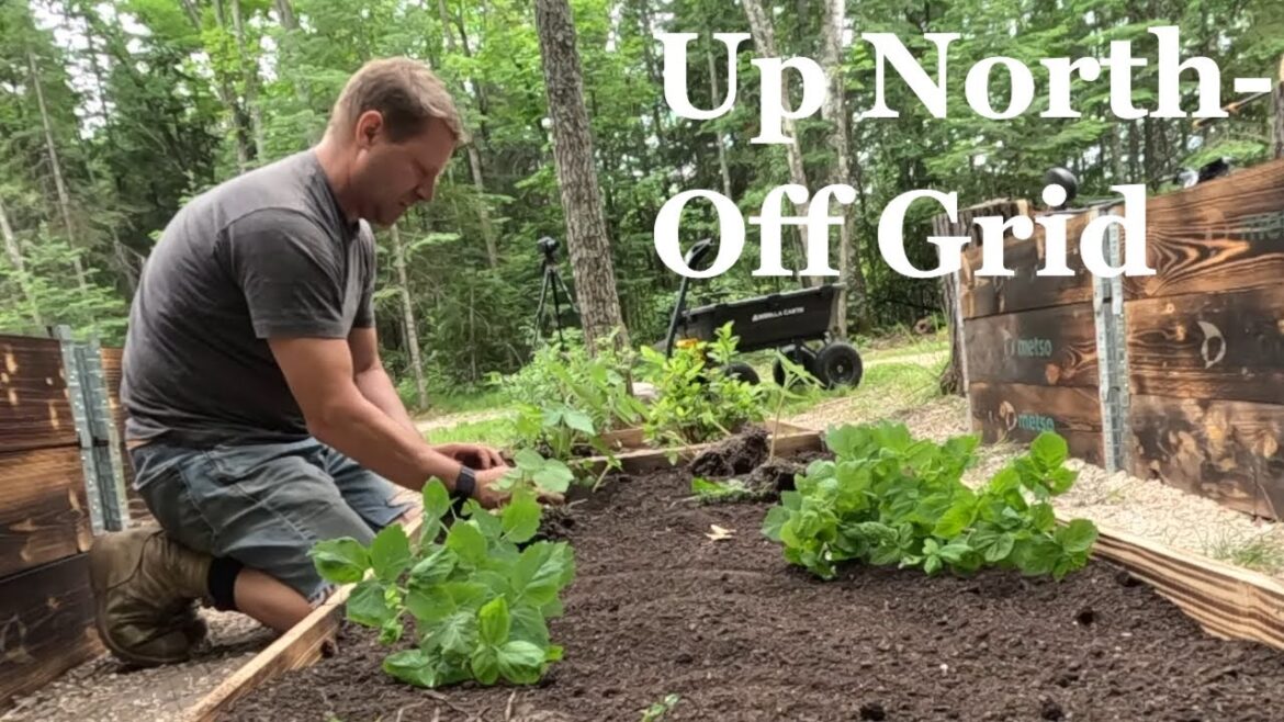 Weekend Homesteading hack: Upcycle Industrial Wood for Garden Boxes!