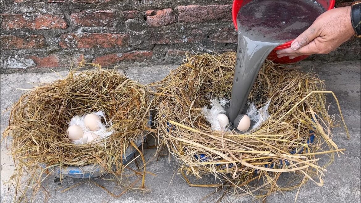 AMAZING CEMENT IDEAS - Garden Design And Decoration - BEAUTIFUL and EASY