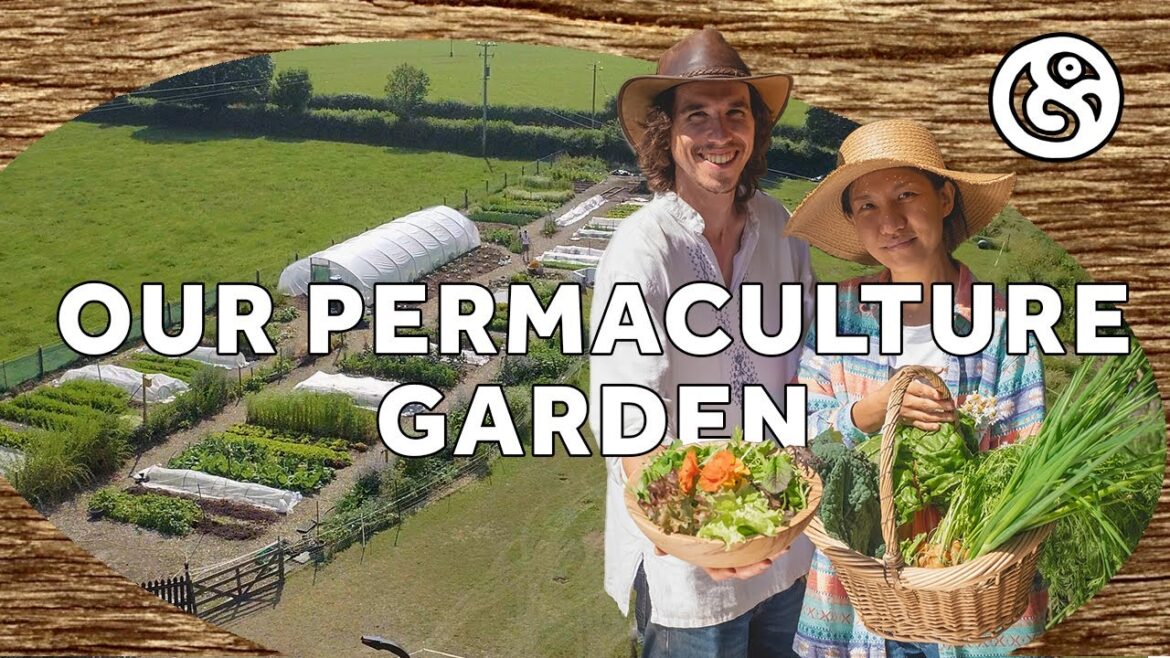 Our 3 Year Old Permaculture Market Garden and Food Forests Our 3 Year Old Permaculture Market Garden and Food Forests