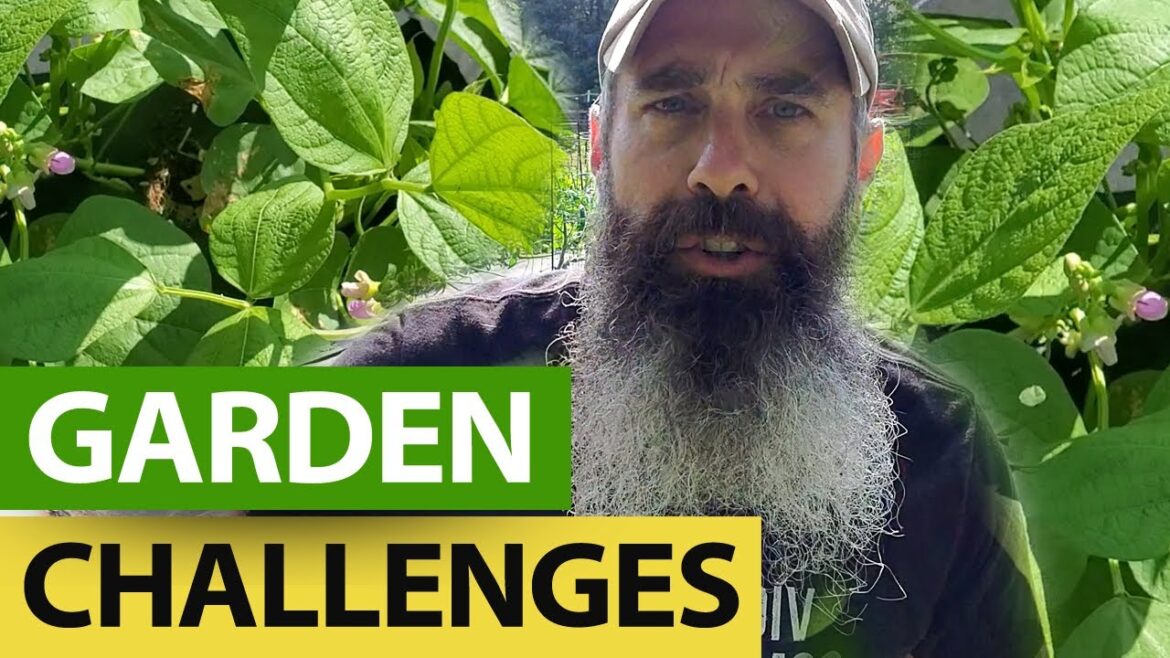 Garden Challenges In 2023 – WATER and ELECTROCULTURE Garden Challenges In 2023 - WATER and ELECTROCULTURE