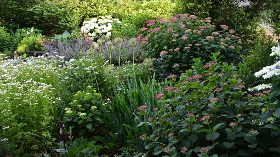BIG Garden Design Changes Coming Soon🌲!! Interplanting Cut Flowers Update, Flower Stand Setup💐!!!