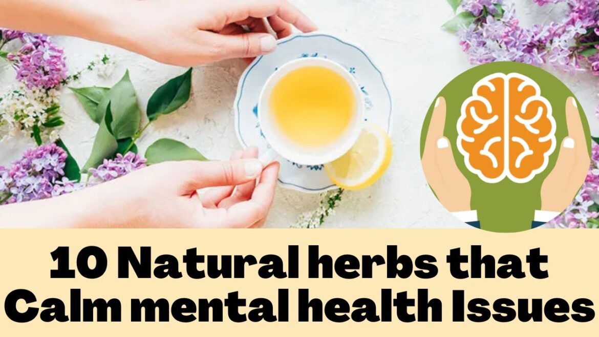 10 Natural herbs that Calm mental health Issues