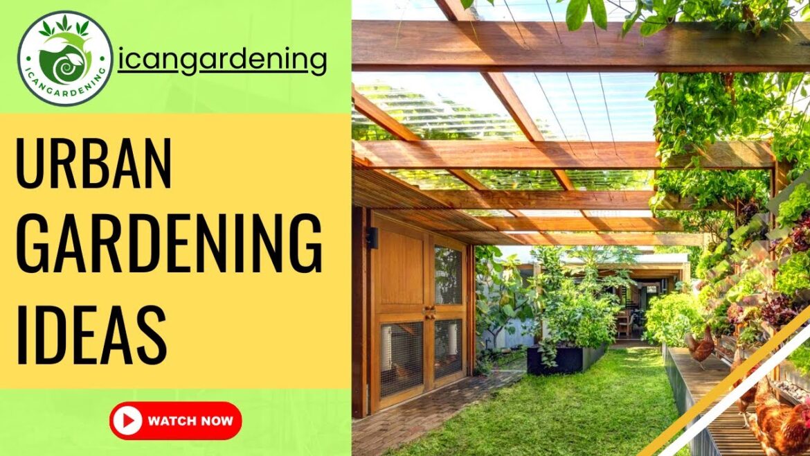 Creative Urban Gardening Ideas for Green Spaces in the City