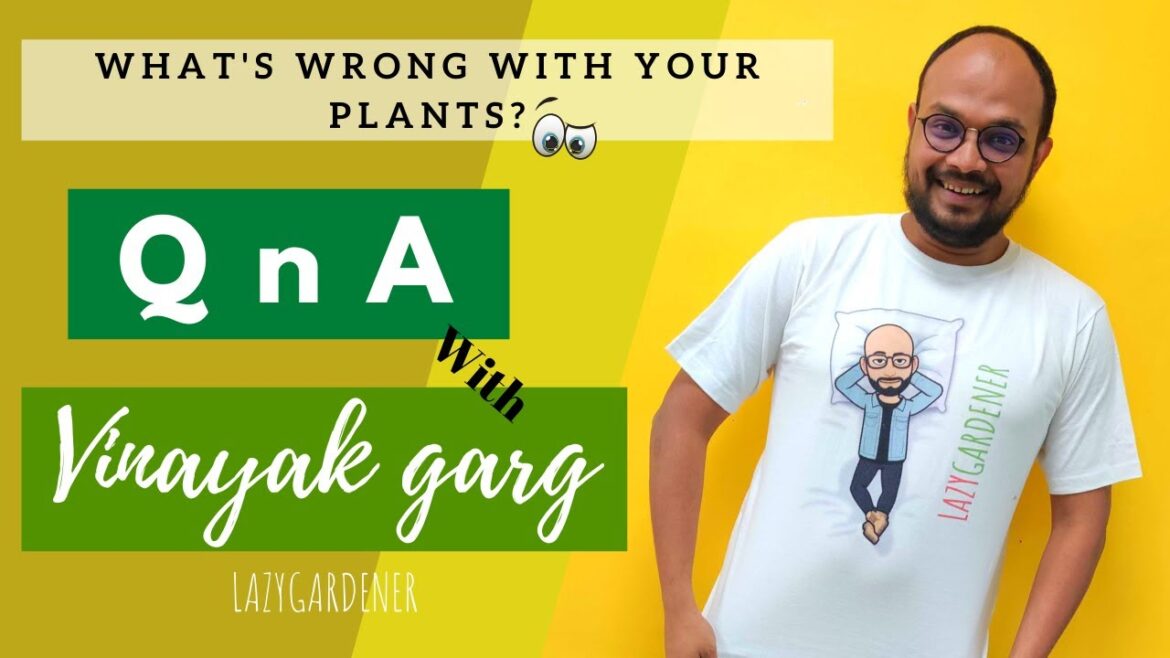 Let’s talk Plants #withme // Lazy Gardener Let’s talk Plants #withme // Lazy Gardener