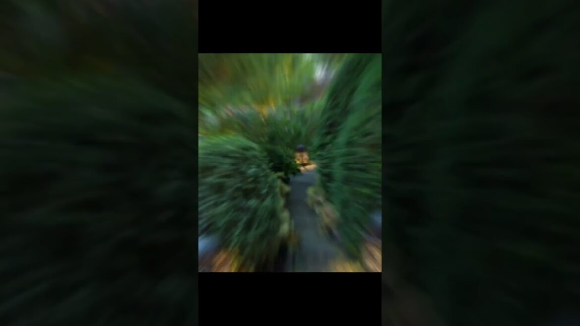 Landscape Desing ideas Best ideas for garden and landscape 147 #shorts11