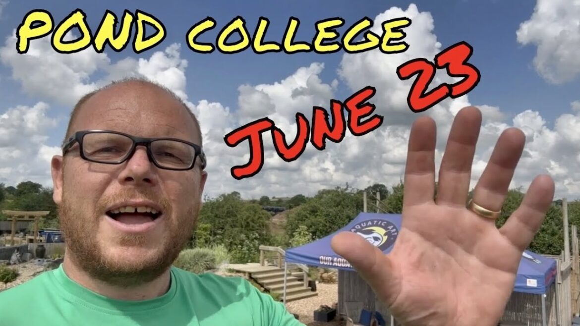 What's New for POND College in Summer 2023