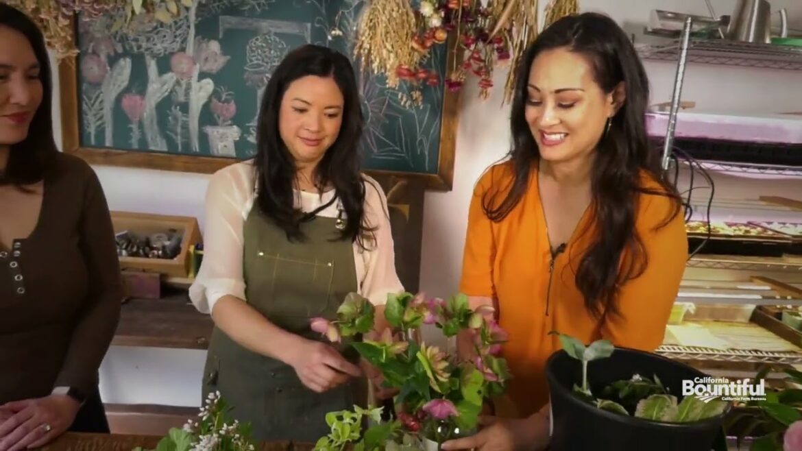 Turbow Farms Flower Demo Turbow Farms Flower Demo