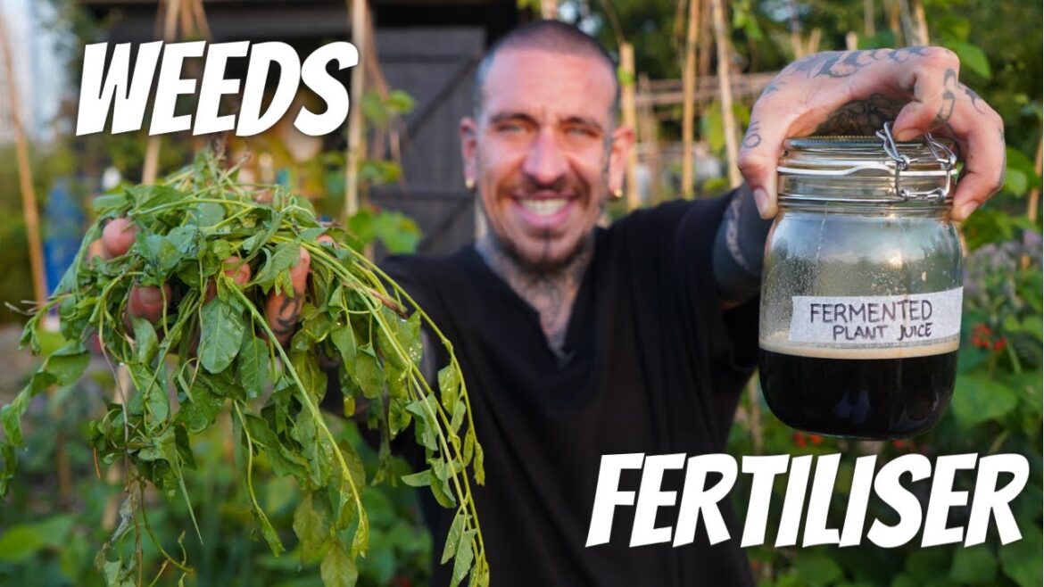 6 ways to use WEEDS to grow a ton of food