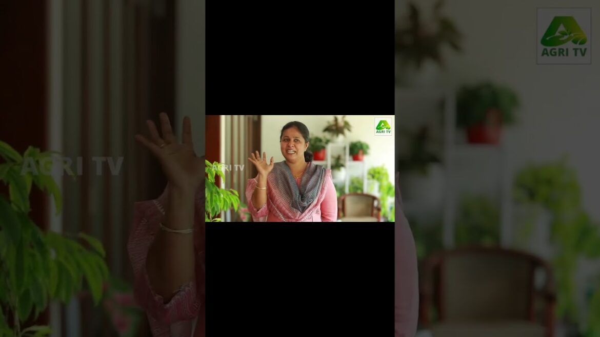 കൊതിപ്പിച്ചു കളഞ്ഞല്ലോ! ഈ വീടും പൂന്തോട്ടവും |ലിൻഡ സോണി, കോട്ടയം| Beautiful home garden കൊതിപ്പിച്ചു കളഞ്ഞല്ലോ! ഈ വീടും പൂന്തോട്ടവും |ലിൻഡ സോണി, കോട്ടയം| Beautiful home garden